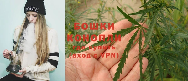 гидропоника Ачинск