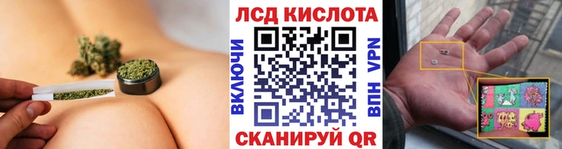 mega ТОР  Нижнеудинск  Наркотические марки 1,8мг  сколько стоит 