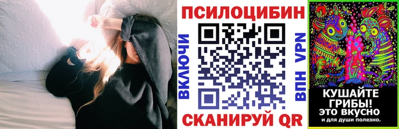 купить наркотик Нижнеудинск Галлюциногенные грибы Cubensis