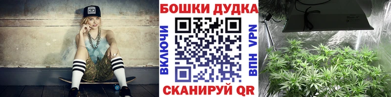 как найти закладки  Нижнеудинск  Бошки марихуана семена 